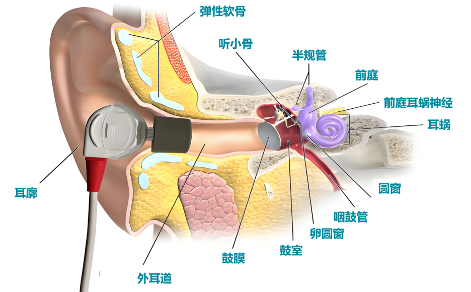 1772174562872765PWmb.png 640 (1).png